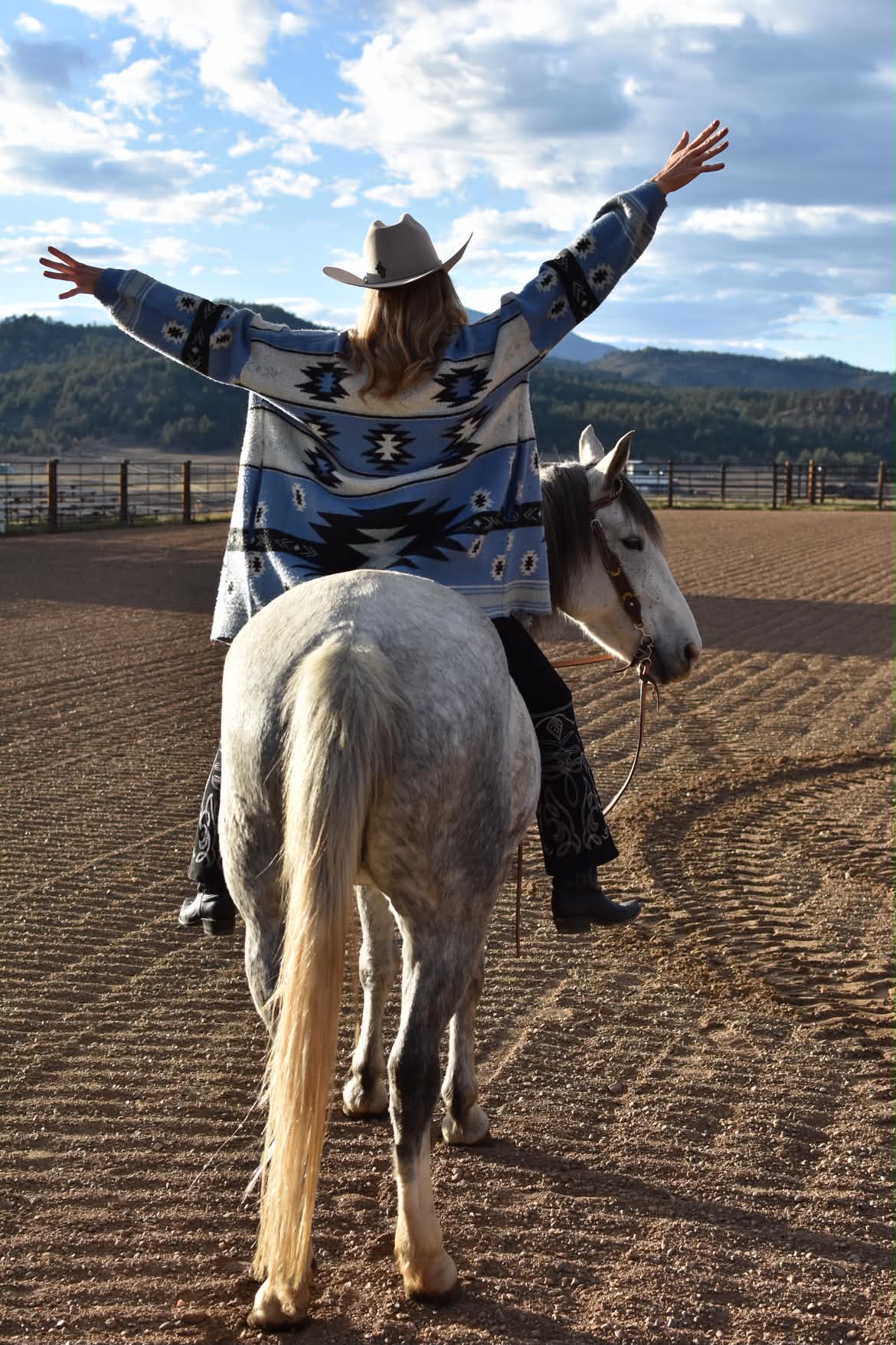 A dapple grey horse under a big Colorado sky.