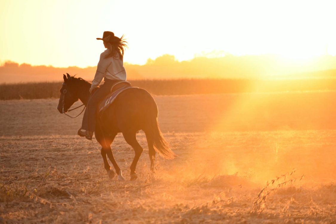 A rider on a bay horse crossing a dusty field in low golden light.