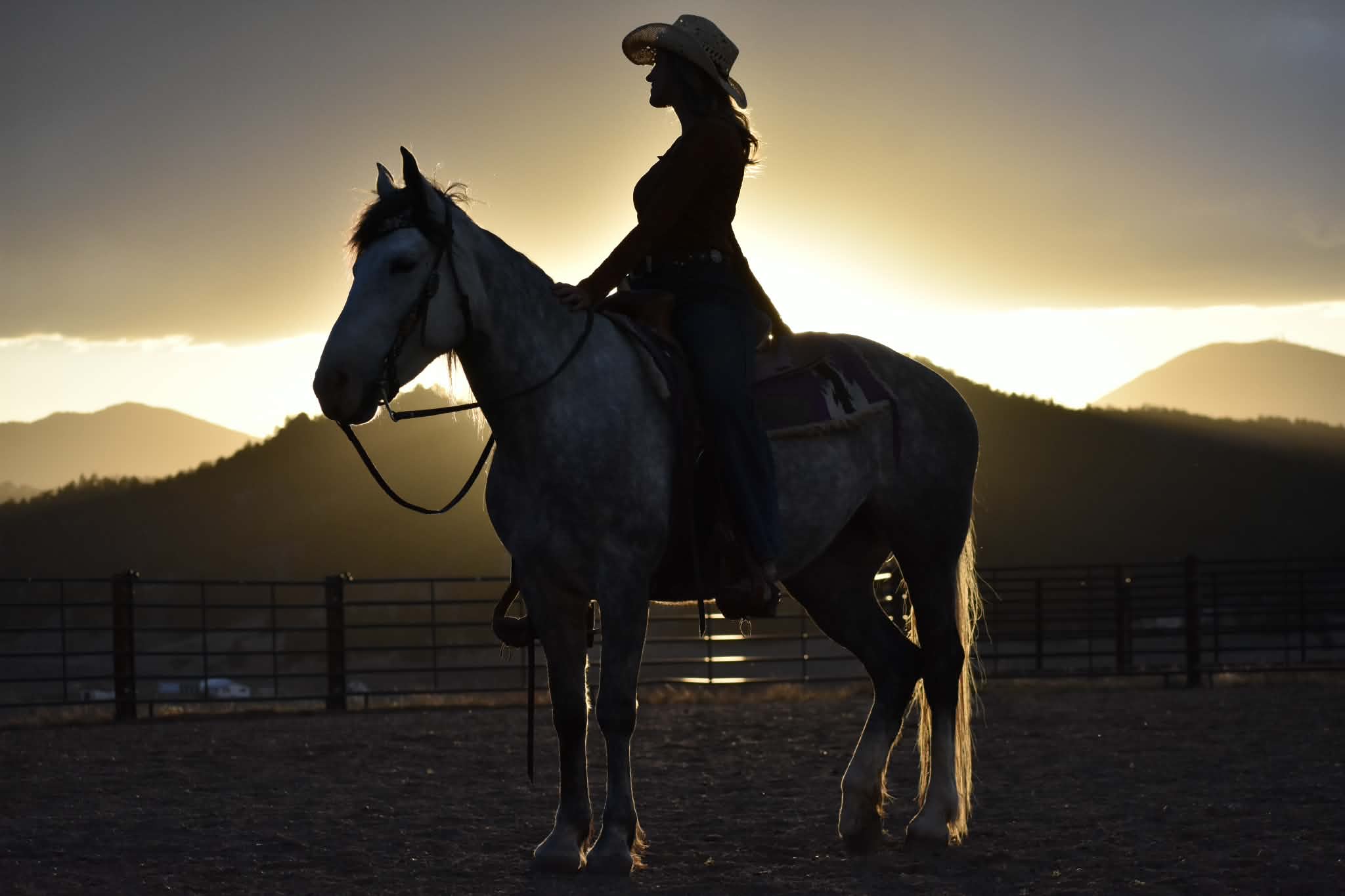 A rider in a straw hat in silhouette on a dapple grey horse, with the sun setting behind the Colorado mountains.