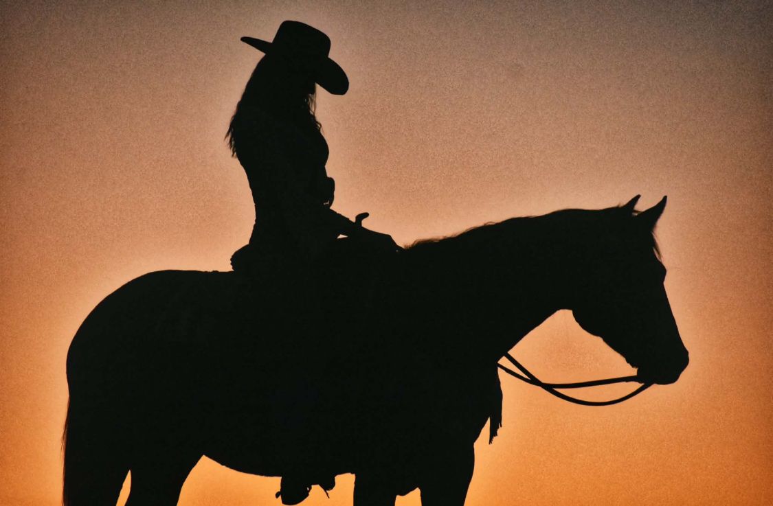 A rider and horse in silhouette against an orange sunset.
